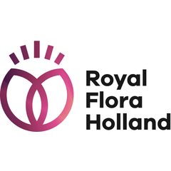 Royal Flora Holland Logo